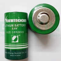ER26500 Lithium Battery Size C