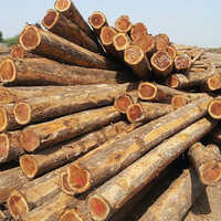 Timber Round Logs