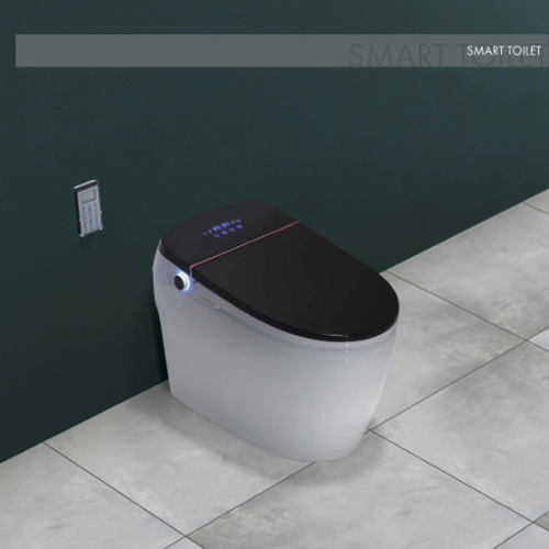 Wis-Smart 102 Ceramic Toilet - Color: White