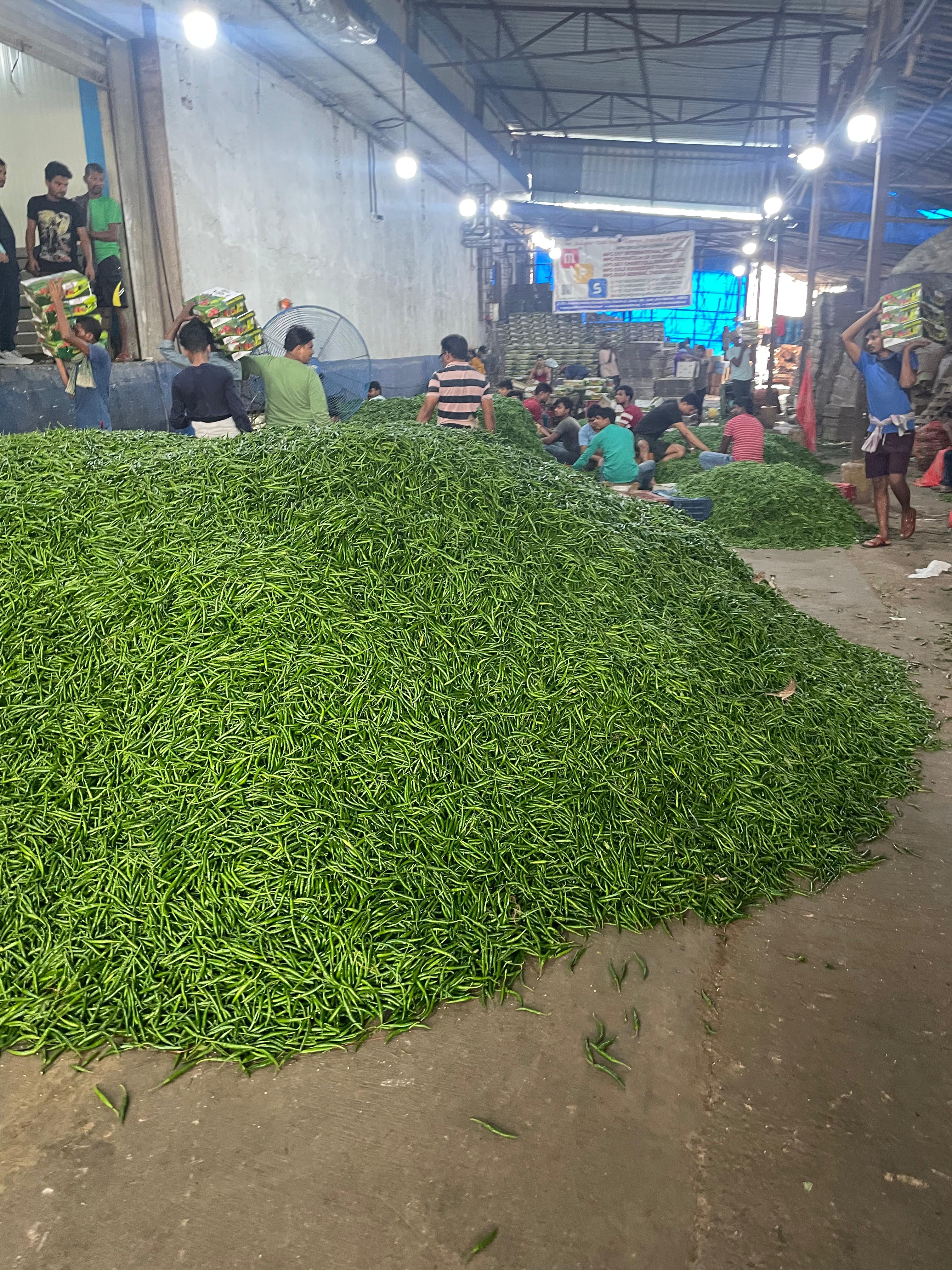 Fresh Green Chillies