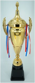 Premium Quality Sports Trophy