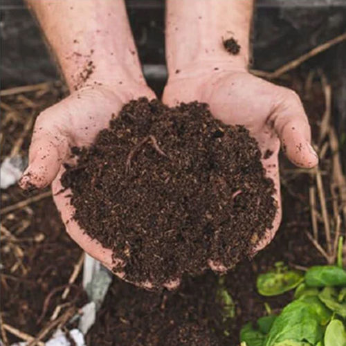 Agriculture Vermicompost - Application: Organic Fertilizer