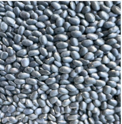 BLACK HORSE GRAM