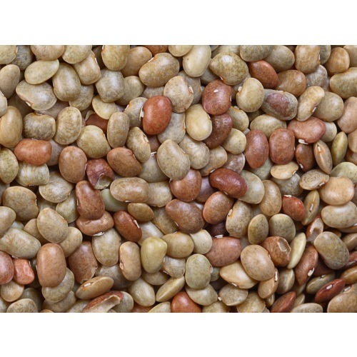 HORSE GRAM