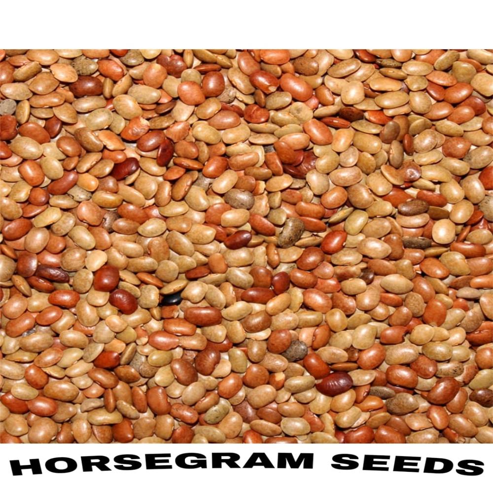 Horse gram