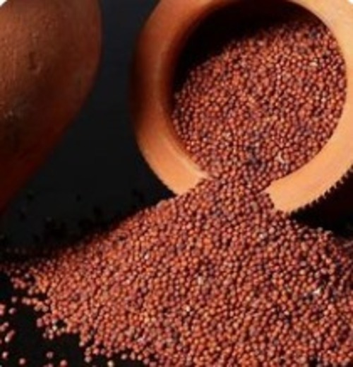 Ragi Millets - Cultivation Type: Common