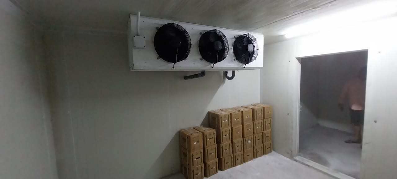 Cold Room For Ice Cream - Application: Industrial