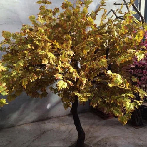 Artificial Maple Plant - Color: Green