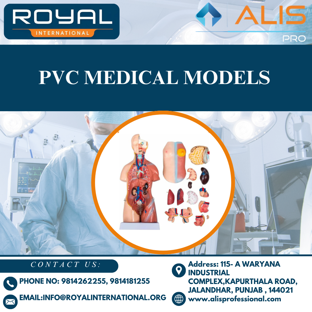 PVC Medical Models