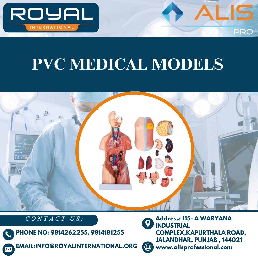 Pvc Medical Models - Color: Multi-color