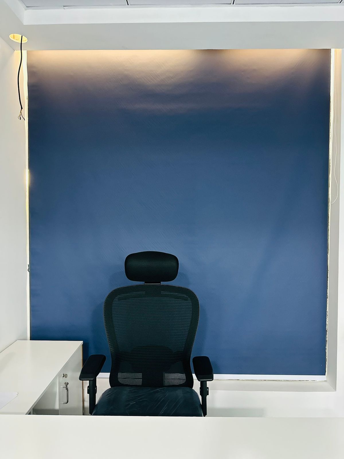 Window Roller Blinds For Window - Modern Design, Various Colors Available | Tailored For Optimal Interior Furnishing Solutions, Plain Style