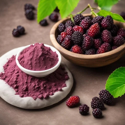 Mulberry Juice Powder