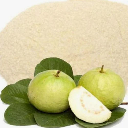 White Guava Juice Powder - Purity: 95% - 98%