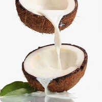Coconut Milk Powder - Purity: 95% - 98%