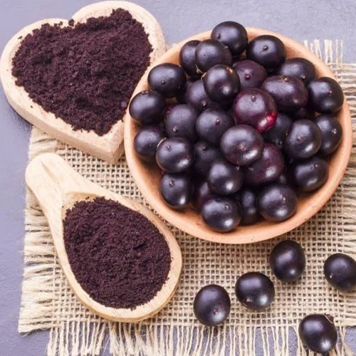 Jamun Juice Powder - 95%-98% Pure Extract, 6-12 Month Shelf Life | Natural Blood Sugar Control, Digestive Health, Immunity Boost