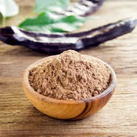 Tamarind Powder