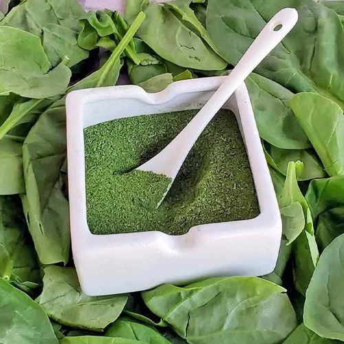 Dehydrated Spinach Powder - Grade: Food Grade