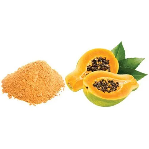 Spray Dried Papaya Juice Powder - Color: Light Yellow To Orange