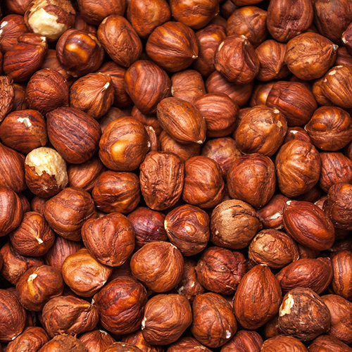 Brown Hazelnuts