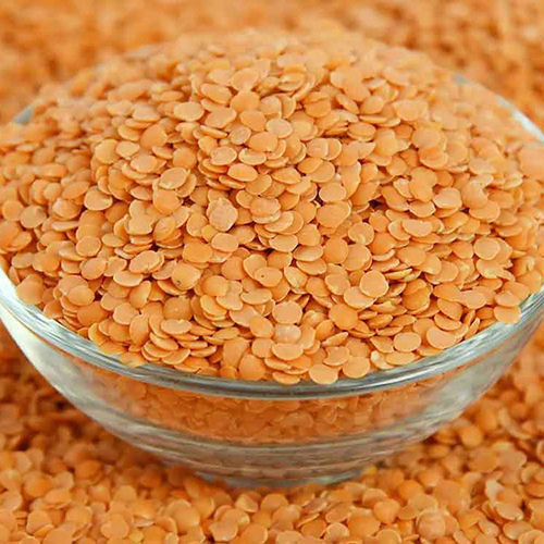 Masoor Dal - Cultivation Type: Organic