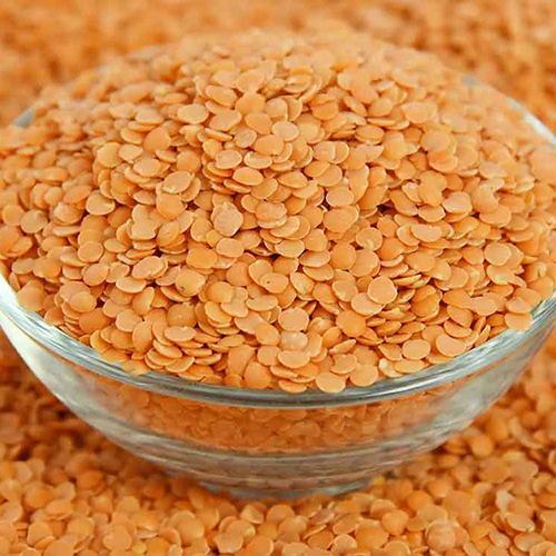 Masoor Dal
