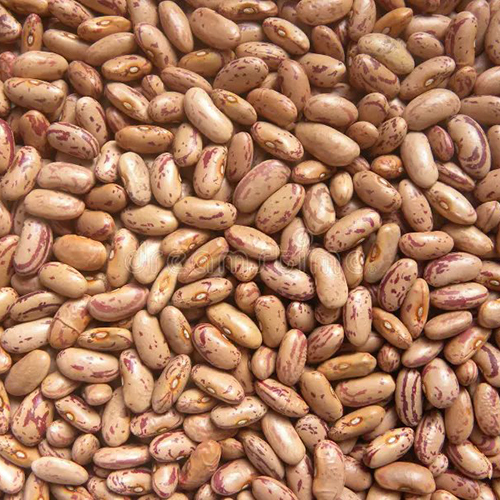 Rajma Chitra