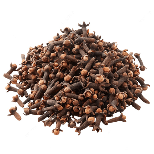 Clove Seeds - Color: Brown