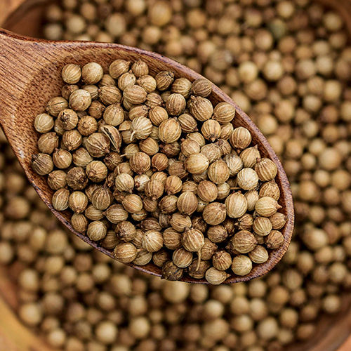 Coriander Seeds - Color: Brown