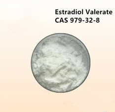  Estradiol Valerate CAS 979-32-8