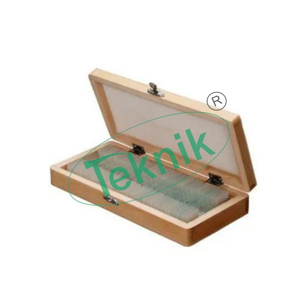 Optical Square - Brass And Aluminium Body Set Of 50 Prepared Slides | Optical Glass For Clear Viewing, Preserved Samples In Cedar Wood Oil, Fitted Wooden Storage Box