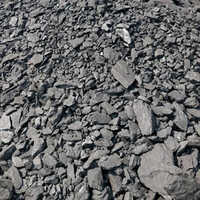 Non Cooking Steam Coal - Ash Content (%): 25-30%