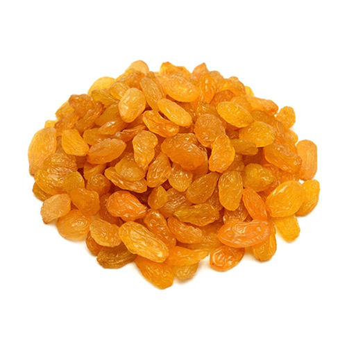 Yellow Dry Raisin - Cultivation Type: Common