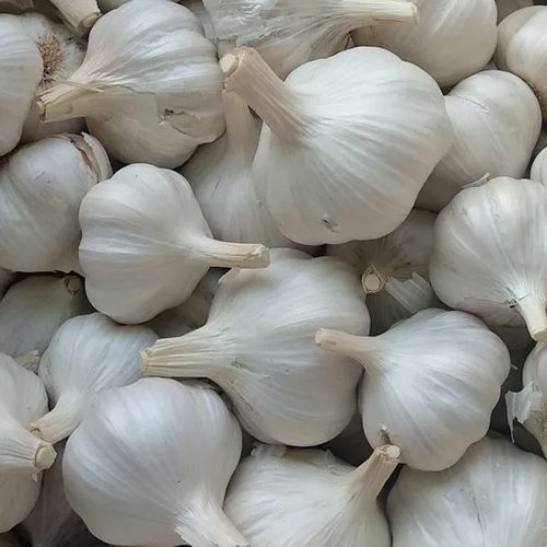 White Garlic