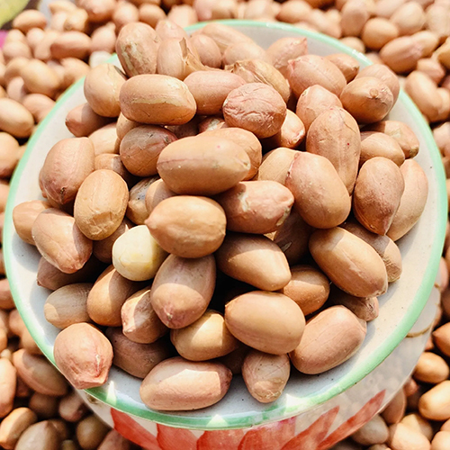 Fresh Peanuts