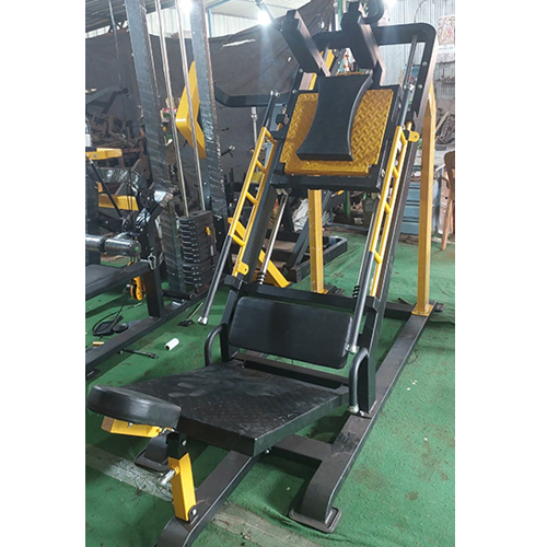 45 Degree Leg Press With Hex Squat