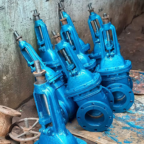 Cs Globe Valve - Application: Industrial