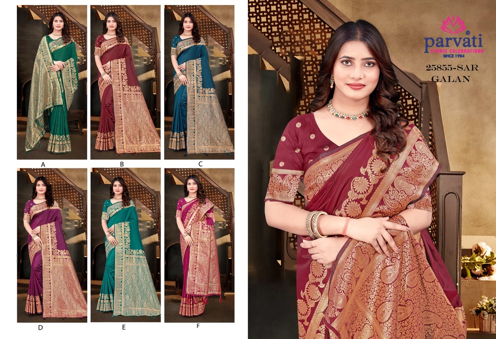 Parvati Multicolor Rapier Silk Saree -25855