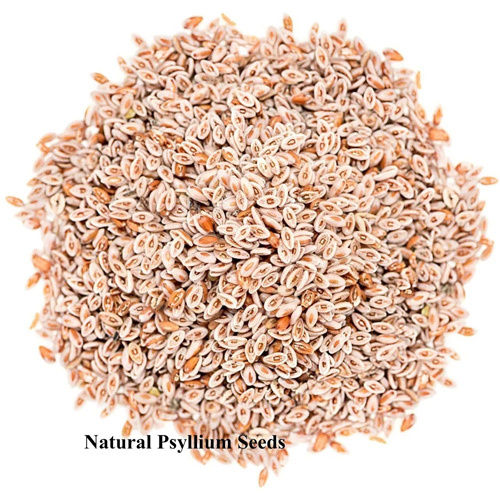 Natural Psyllium Seeds - Color: Brown