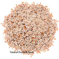 Natural Psyllium Seeds - Color: Brown