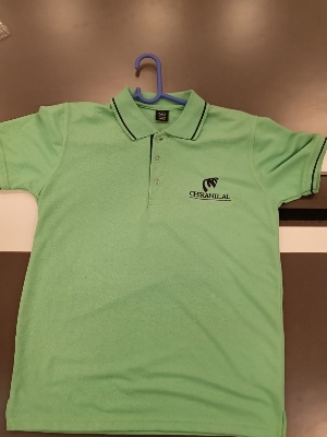 Mens Yellow Collar T shirt