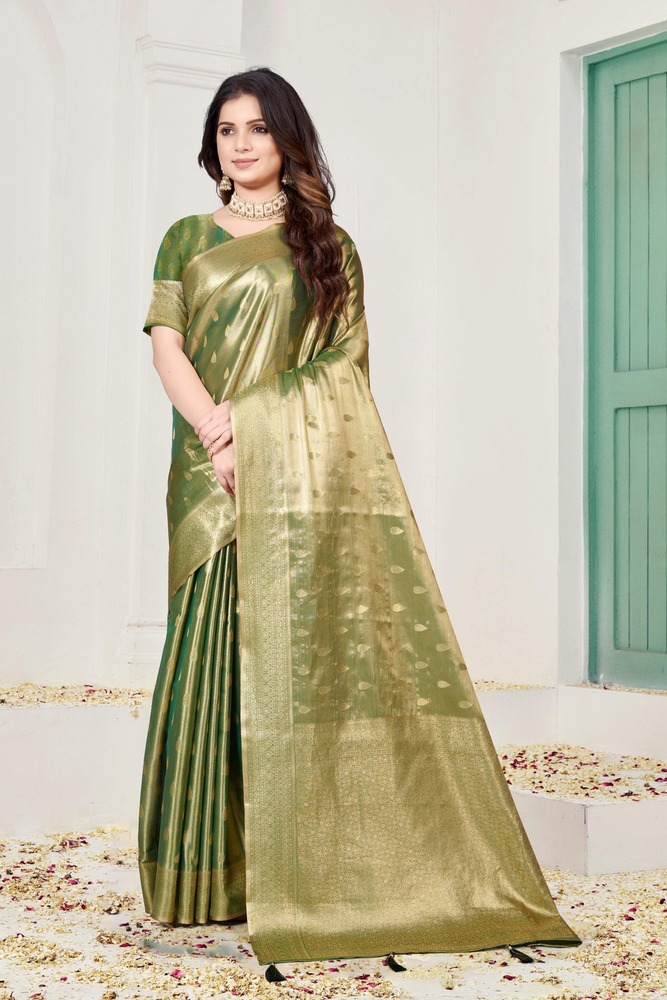 Parvati Multicolor Rapier Silk Saree -25868