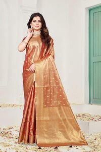 Parvati Multicolor Rapier Silk Saree -25868