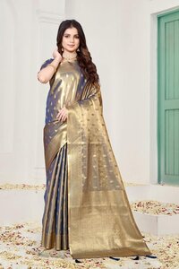 Parvati Multicolor Rapier Silk Saree -25868