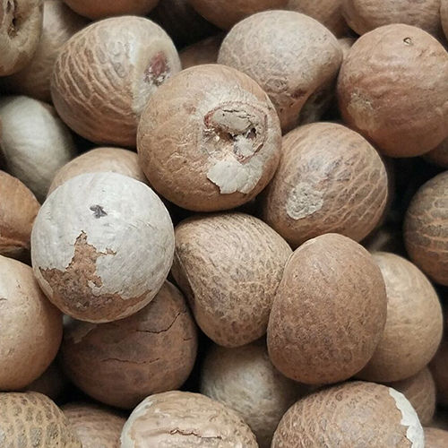 Natural Betel Nut - Color: Brown