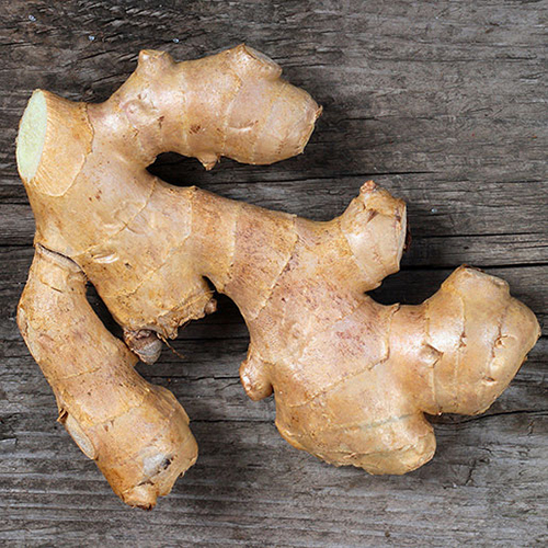 Organic Ginger