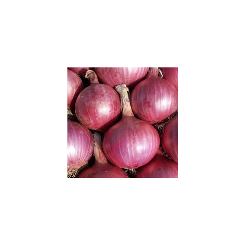 ताजा लाल प्याज