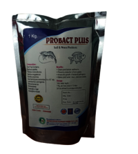 Probact Plus Probiotic