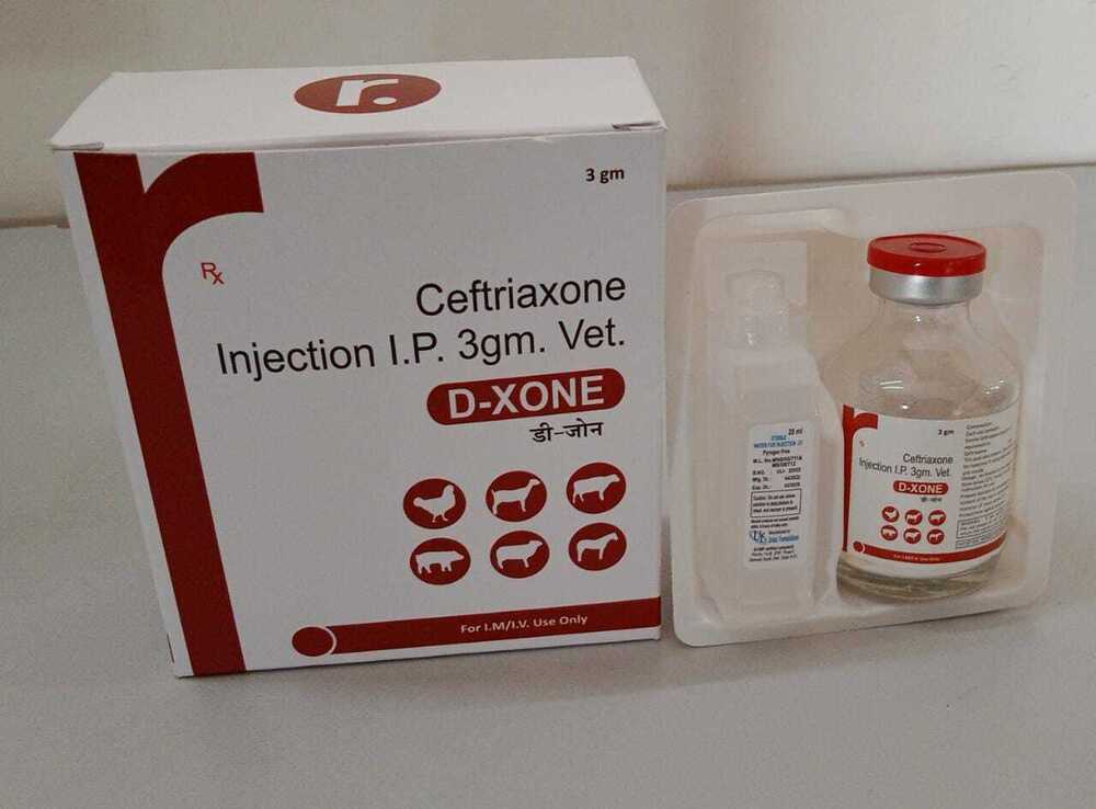 Ceftizoxime Injection