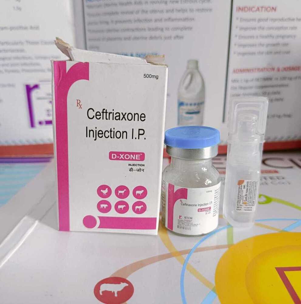 Ceftizoxime Injection