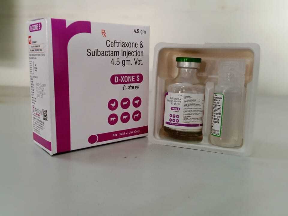 Ceftizoxime Injection